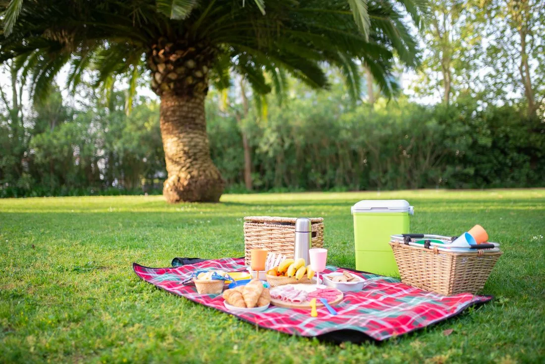 Picnic baskets and food arranged on a blanket beneath a palm tree